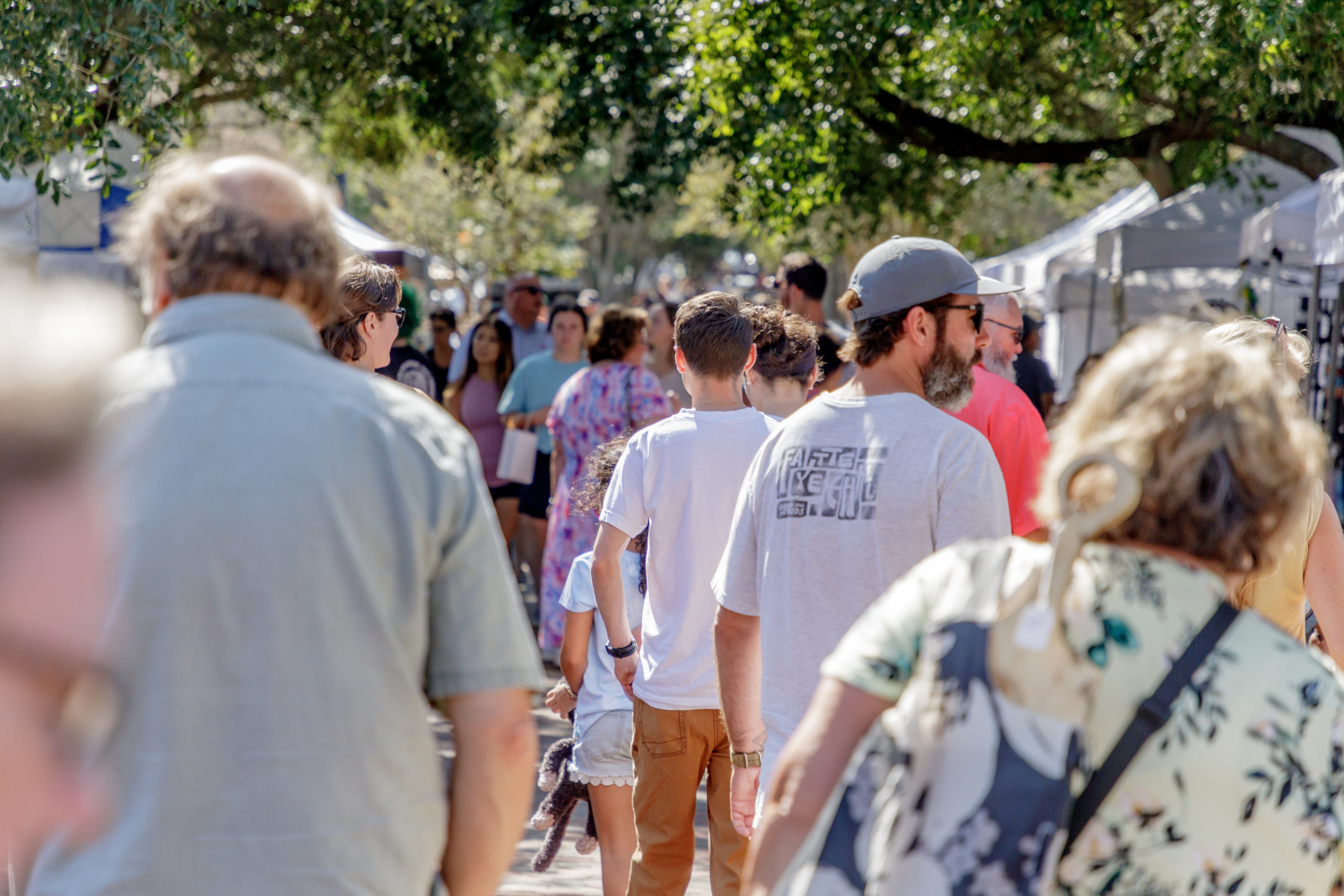 Palafox banner image